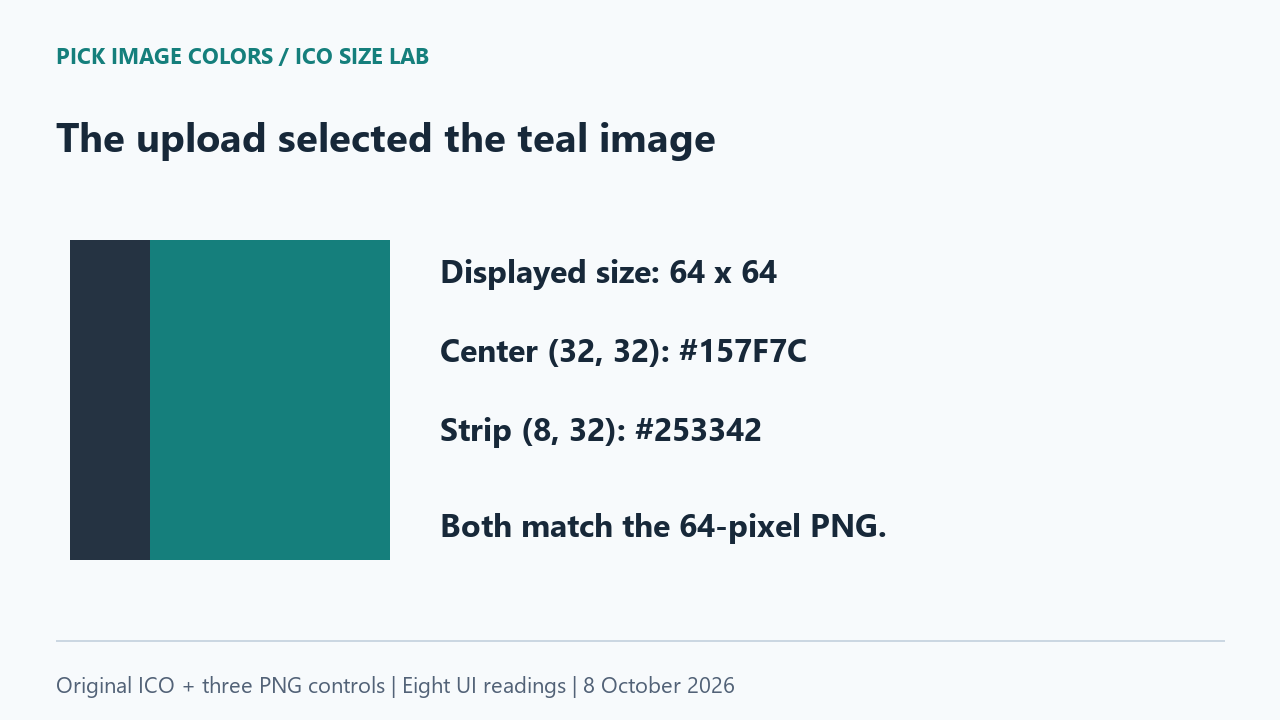 The ICO displays 64 by 64 pixels with teal center and a dark strip, matching its largest control.